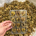 Jilin Changbaishan Wild Natural Dried Forest Frog's Oviduct for Sale
