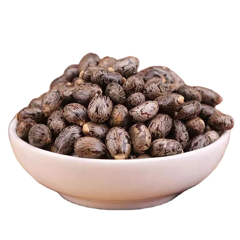 Dried Ricinus Communis Fruits SEMEN RICINI Castor Bean for Sale