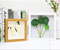 7 Inches Ps Black and White Log Blown Golden Shadow  Box Photo Frame square Glass 3 D Deep Shadow Box for Storing Memories