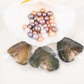 Love Wish Pearl Party Gift Vacuum-packed 10-13mm Aaaa Quality Loose Freshwater Round Cultured Edison Pearl Oyster