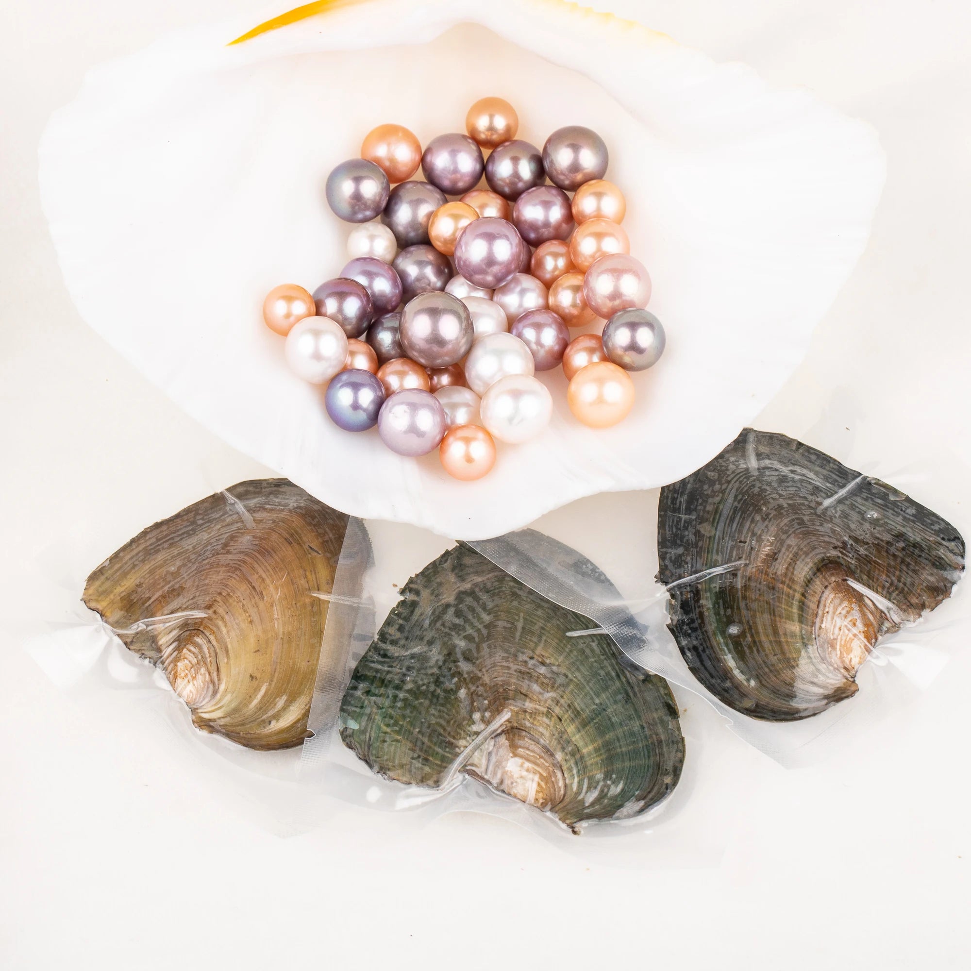 Love Wish Pearl Party Gift Vacuum-packed 10-13mm Aaaa Quality Loose Freshwater Round Cultured Edison Pearl Oyster