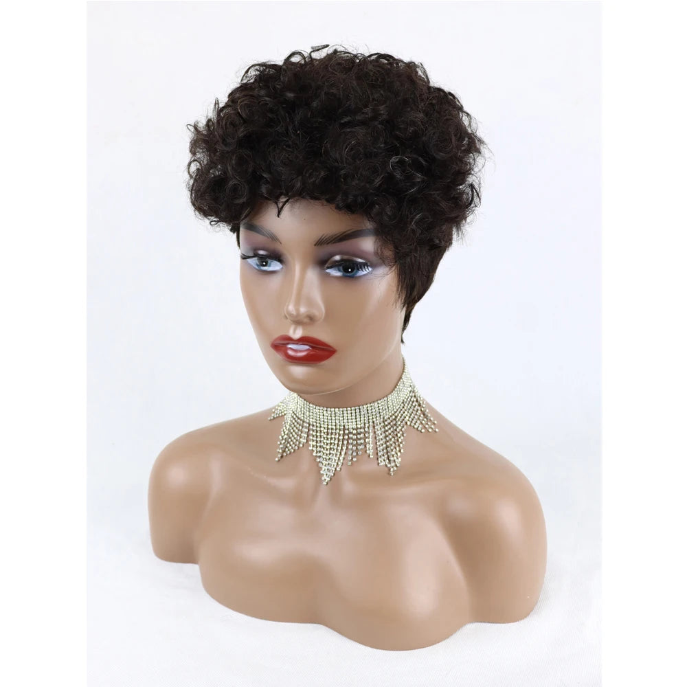 Non Lace Short Human Hair Wigs for Black Women Brazilian Curly Pixie Cut Wigs African American Machine Made Cheap Glueless Wigs