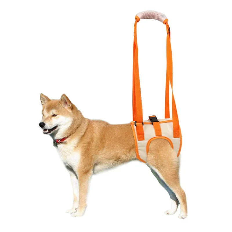 Dog Lift Harness Pet Rear Support Back Leg Hip Disabled Joint Injury Elderly and Arthritis ACL Rehabilitation Rehab
