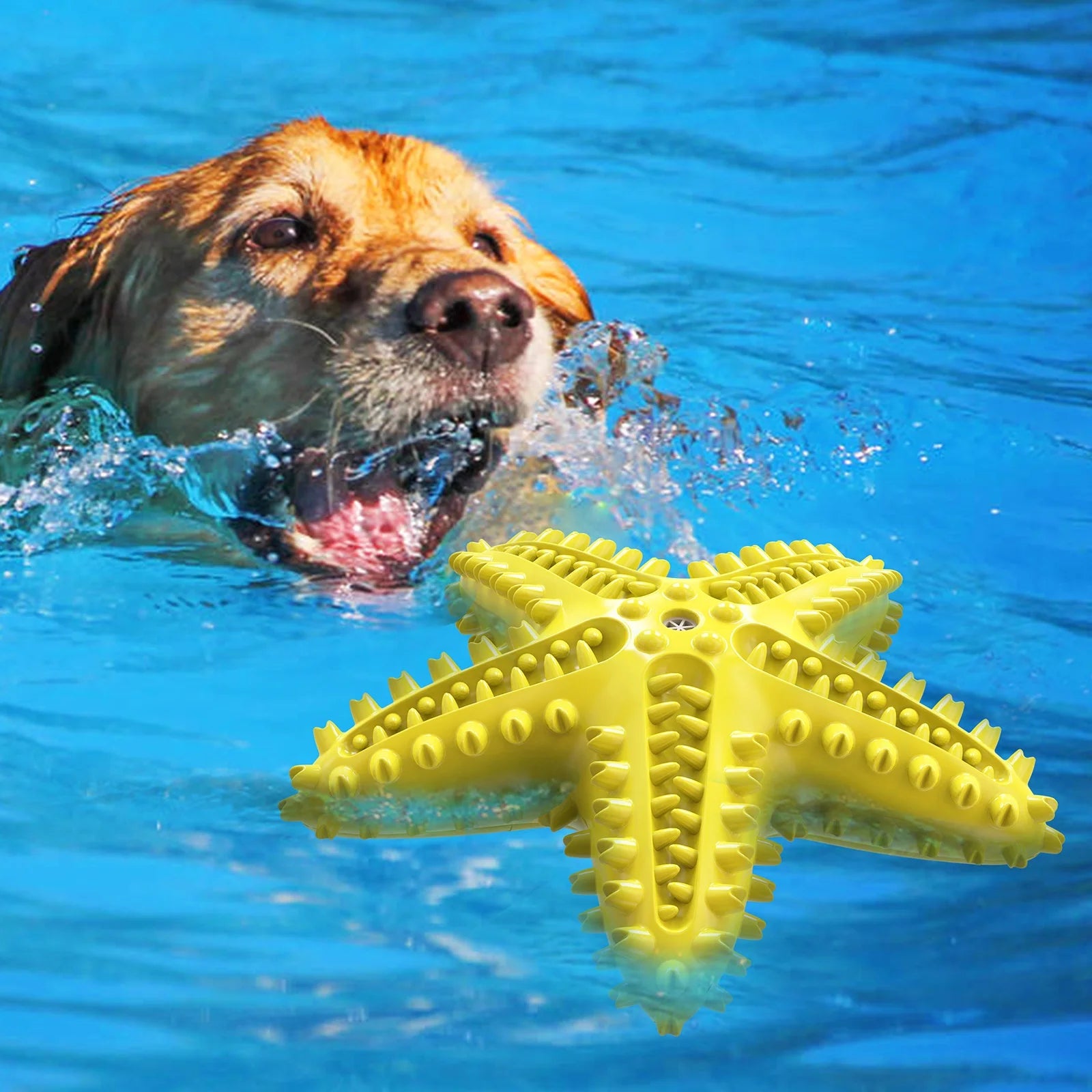 Wholesale Pet Dog Toothbrush Chew Toy Puppy Chew Starfish Toys With Sound TPR Dogs Durable Interactive Training Toys