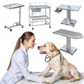 Multilayer Veterinary Operating Instrument Surgical Equipment for Animal Arthroscope Laparoscopic Uroscope on Operation Table