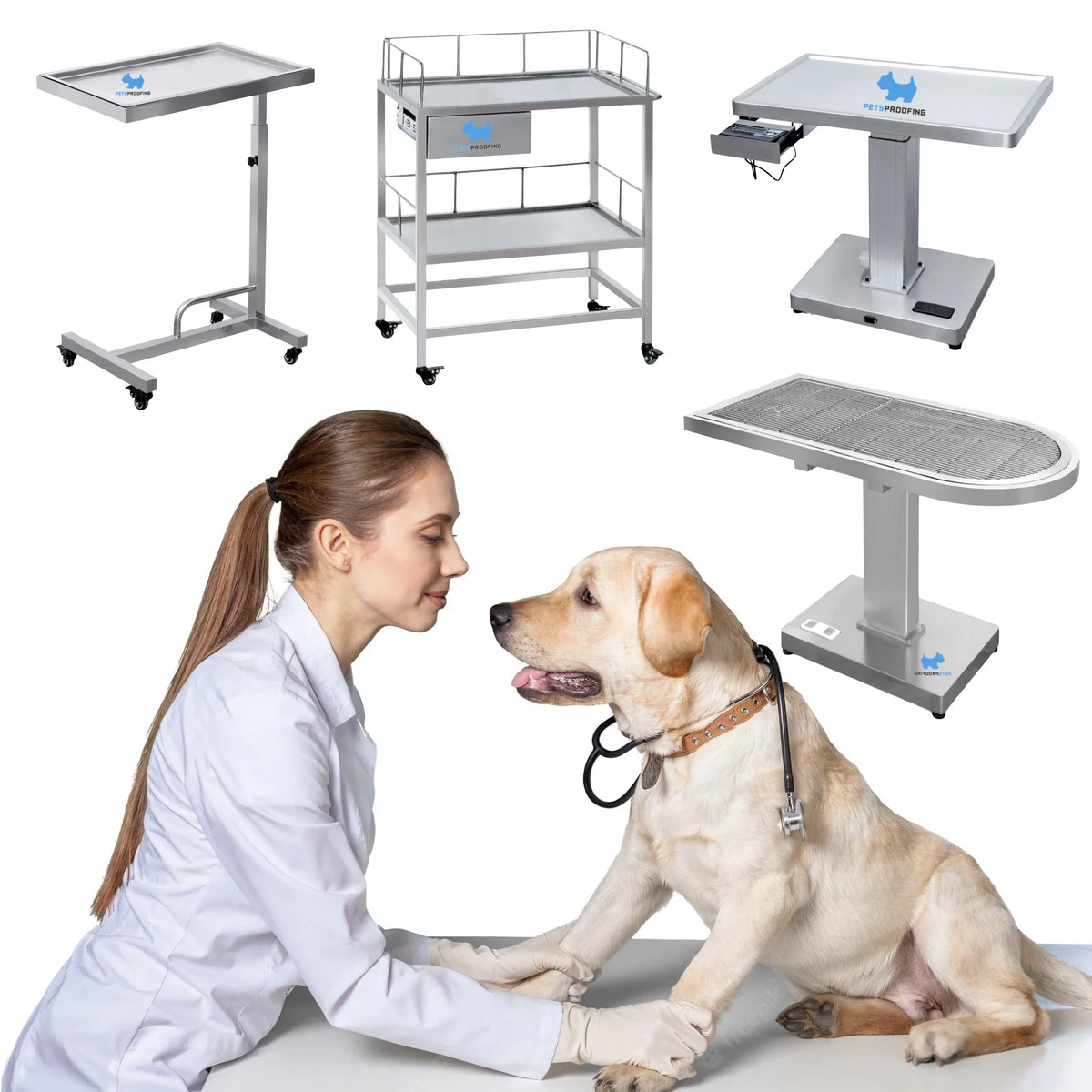 Multilayer Veterinary Operating Instrument Surgical Equipment for Animal Arthroscope Laparoscopic Uroscope on Operation Table