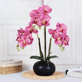 D167 TOP Wholesale Real Touch  Butterfly Orchid Home Garden Wedding Bouquet Artificial Orchid Flowers