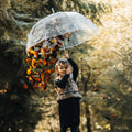 OVIDA C Shape Handle Double Layer Windproof Inverted Umbrella up and Down PVC Transparent clear Bubble Reverse Umbrella