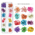 3d Nail Flower Pressed Dry Flowers Nail Art Diy Natural Real Dried Flowers for Nails Decoration Manicure