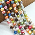 Biwa 5mm 6mm Freshwater Pearl Pendant with Loose Natural Freshwater Pearls Beautiful Strands for Jewelry Making Shenzhen Other