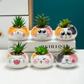 Wholesale Round Mini Desktop Ornament Cat Shape Flower Pots Ceramic Succulent Plant Planters Pot for Room Decor