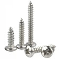 M2 M3 4mm 5mm 6mm 8mm 10mm 12mm 18-8 A2 Stainless Steel Phillips Pan Head Self-Tapping Round Head Screw on Wood