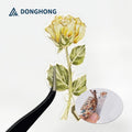 Custom Printing PET Stickers High Quality Waterproof Transparent Embossed Gold Foil Stickers Custom