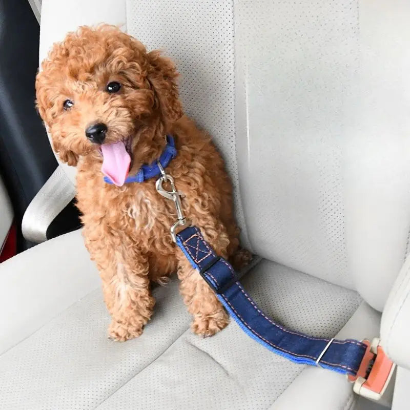 Luxury Striped Nylon Dog Collar Car Restraint Harness with Ribbon Decorations Secure Your Furry Friend