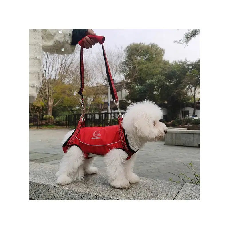 2 in 1 Reflective Pet Carriers Tote Bag Multi-sizes Warm Ventilated Dog Lifter Pet Dog Lift Harness