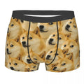 Drop Shipping Products Print on Demand 3D All Over Digital Print Men BOXER BRIEFS Personalized Design Pet Print Shorts