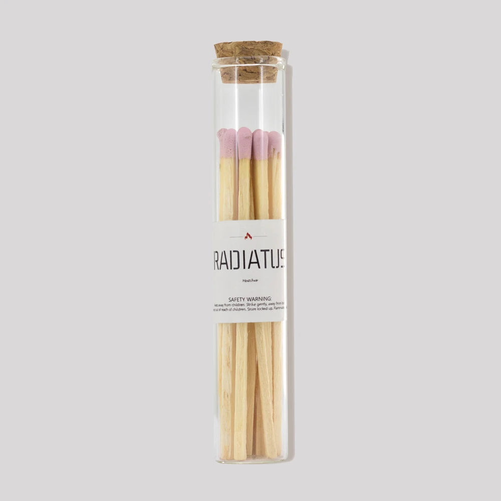Factory Direct Safety Eco-Friendly Printing Logo Gift Household Canned Wooden Matches 4 Inch in Glass Jar