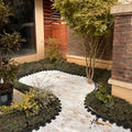 JNZ Eco-Friendly Black Plastic Lawn Edging Border Flower Bed Wire Fencing & Garden Border Trellis for Lawn & Flower Beds