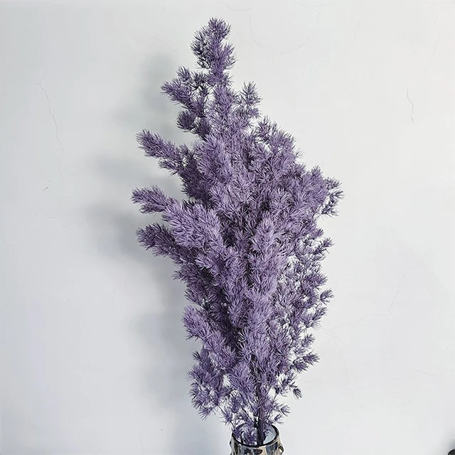 Immortal Asparagus Myriocladus Cedar Embroidered Ball Pine Preserved Flowers & Plants Home Wedding Christmas Scene Decoration