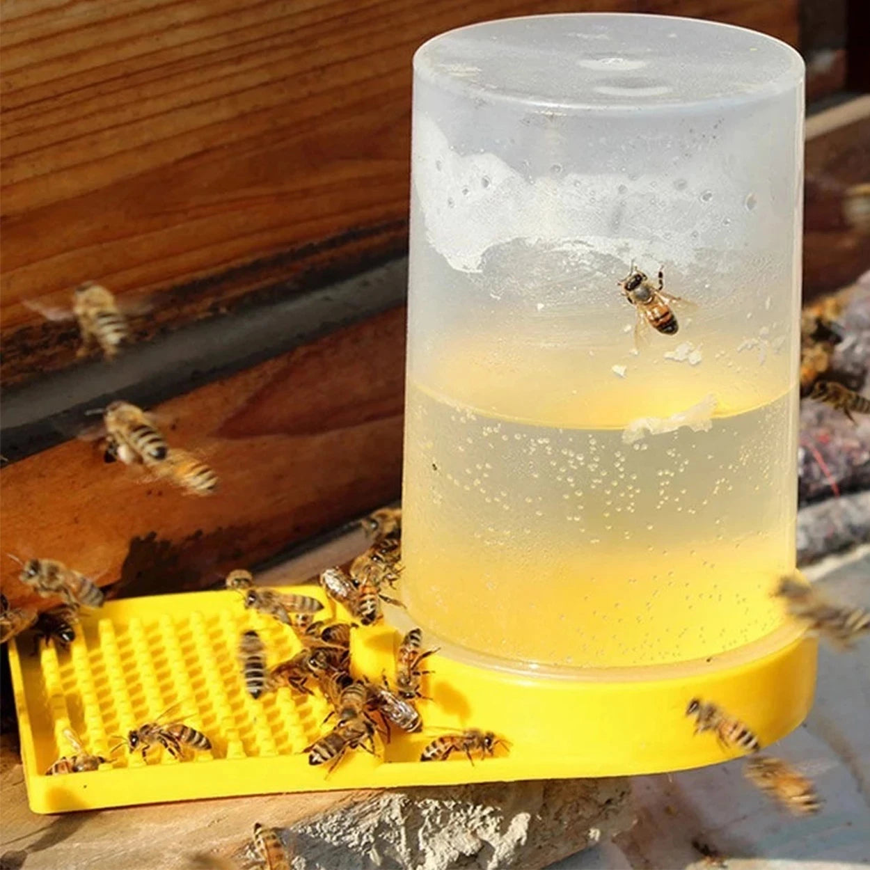 Beekeeping Tools Plastic Bee Water Drinker Beekeeping Tools Bee Feeder Bee Hives Water Tank