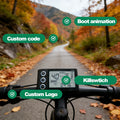 Waterproof 24V/36V/48V/60V Electric Bike Computer with Wired Button Speedometer Digital Stopwatch Odometer