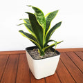 Hot Sell Mini Planter Series Automatic Water Absorbing  Decorations and Nordic Home Decor Home Flower Pot