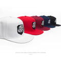 Factory Supply Custom Logo 3D Embroidery Performance Tropical Jersey 100% Cotton Snapback Fitted Hats Cap
