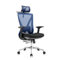 Hot Sale Ergonomic 2D Lumbar Support Office Chair Executive Ergo Mesh Chair with 3D Armrest