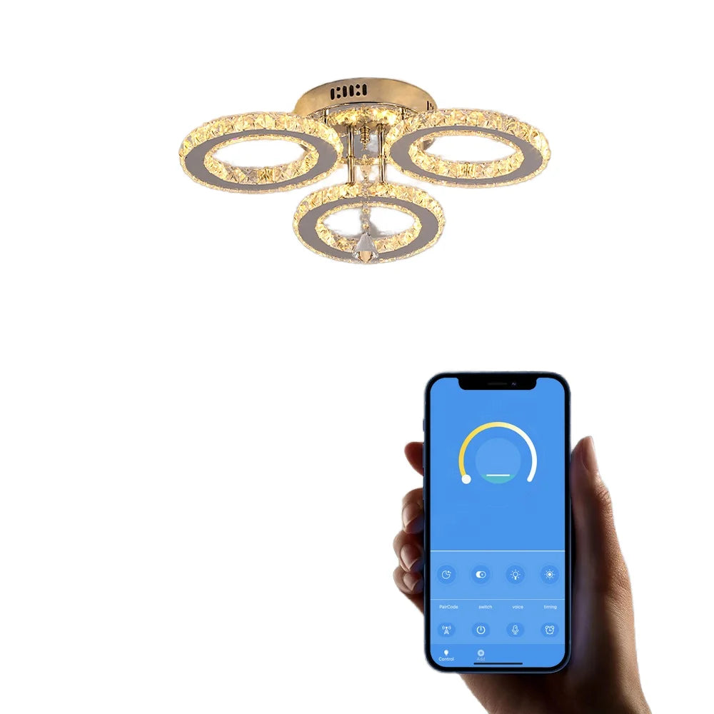 Modern 40W LED Ceiling Lighting Remote Control Dimmable Decor Metal Acrylic for Home for Living Room Direct Zhongshan