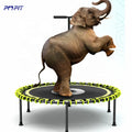 Heavy Duty 150kg Adult Gym Fitness Workout Trampoline Jumping Exercise 55inch Trampolines