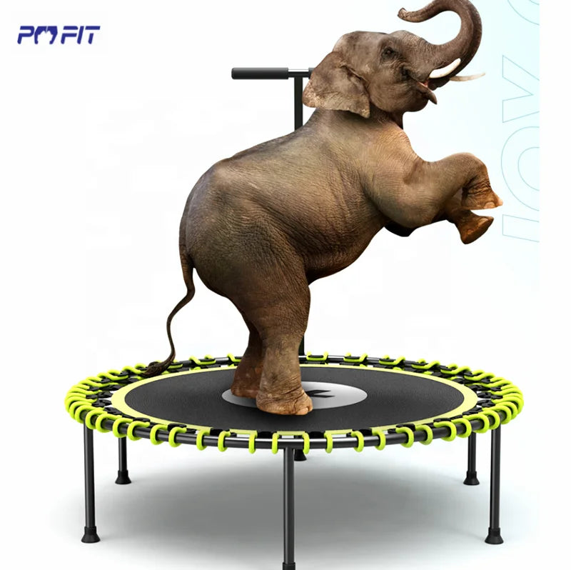 Heavy Duty 150kg Adult Gym Fitness Workout Trampoline Jumping Exercise 55inch Trampolines