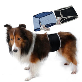 Wholesale Cotton Physiological Small Medium Large Pet Dog Menstruation Pants