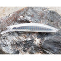 DIY Fishing Lure Blank Body Unpainted Hard Bait 90mm 3.5in 6g Minnow Crankbait for Fishing MegaBDM