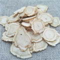Ren Shen Top Grade Anhui White Ginseng Loose Leaf Health Tea for Cup Use Bulk Packaging