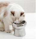 Beautiful Cat Feeding Bowl and Practical Electroplated Ceramic Bowls for Cats Bowl
