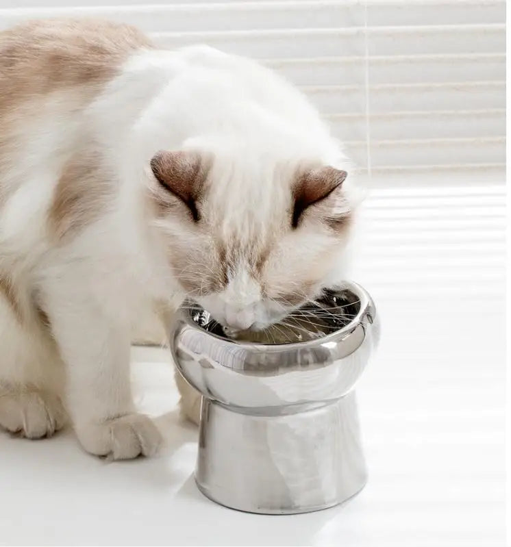 Beautiful Cat Feeding Bowl and Practical Electroplated Ceramic Bowls for Cats Bowl