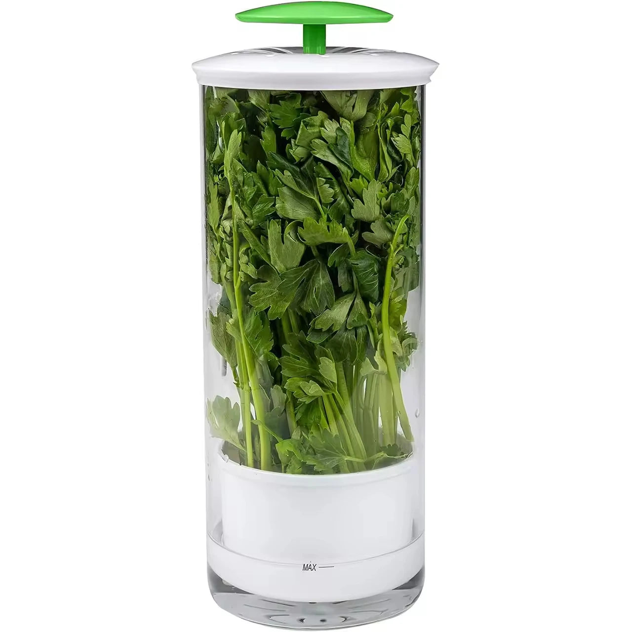 Creative Breathable Borosilicate Glass Herb Keeper Herb Cilantro Crisper Herb Saver Fresh Keeper Food Storage Containers