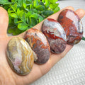 Wholesale Mexico Crazy Lace Agate Palm Stone Crystal Oval Worry Stone Chakra Pocket Healing Stones for Home Decor