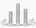Customizable M6 12mm Hexagonal Socket/Cross Stainless Steel Screw Metric Measurement System