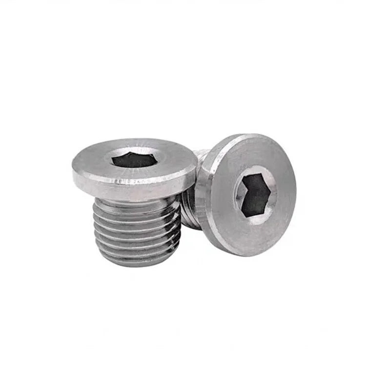 DIN908 M10 DH Brand Stainless Steel Hex Screw Screw Plug