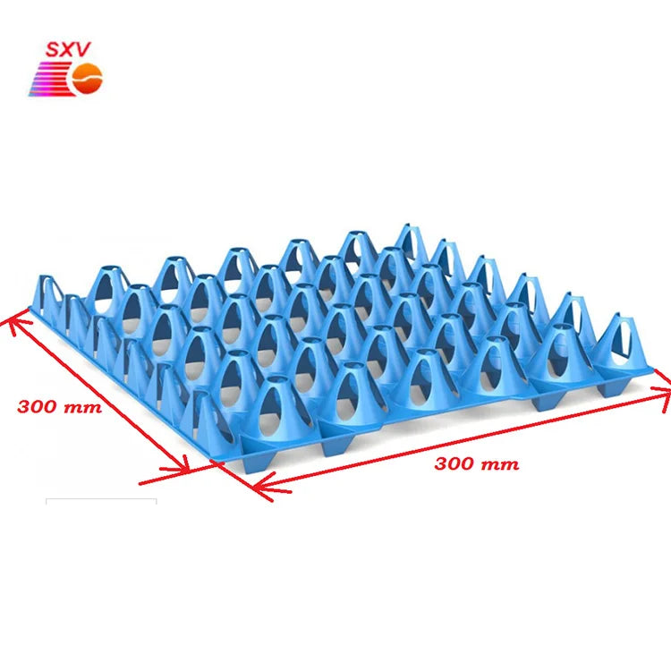 New Best Price Plastic Egg Tray Plastic Incubator Egg Tray for Chicken Eggs 30 Capacity