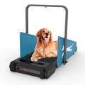 Electric Home Pet Exercise Treadmill for Dogs and Cats with LED Screen-Foldable Design