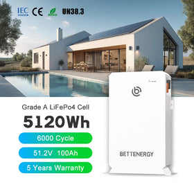 48V 100AH Home Appliances LiFePO4 Source Factory Household Energy Storage Lithium Battery Wall Mount Adapt All Mainstream