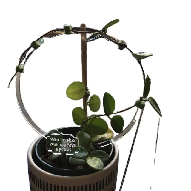Custom Climbing  Potted Plants clear Acrylic Plant Trellis for Indoor
