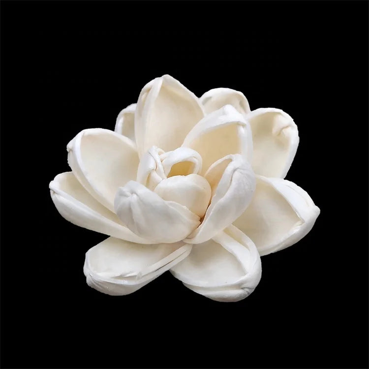 Wholesale Scented T-0448 Dried Wood Sola Flower Reed Diffuser Fragrance for Home Decoration