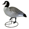 Xilei Outdoors Fullbody Canada Goose Duck Decoy Mold Hard PE Plastic 25inch Durable & Realistic Detachable Heads