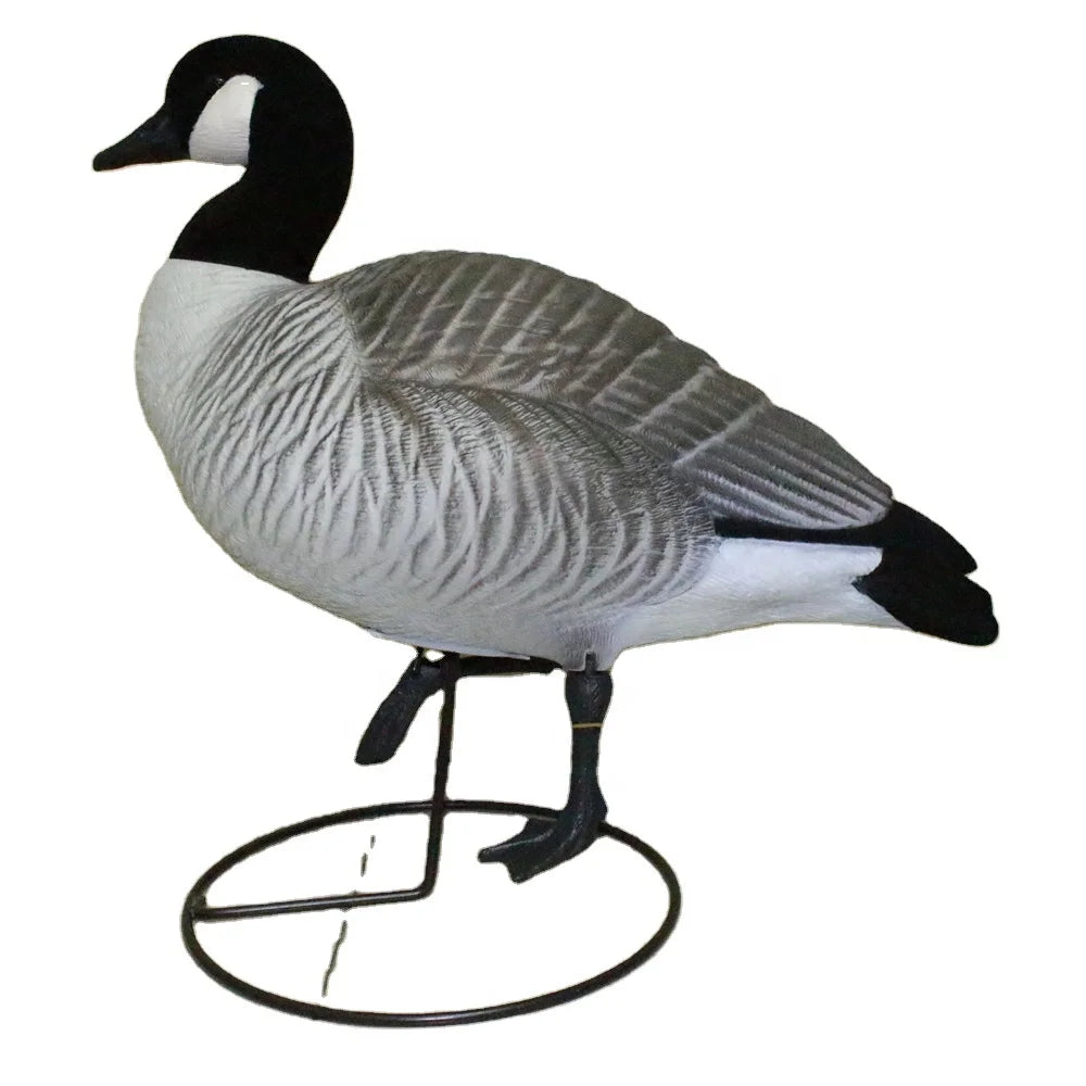 Xilei Outdoors Fullbody Canada Goose Duck Decoy Mold Hard PE Plastic 25inch Durable & Realistic Detachable Heads