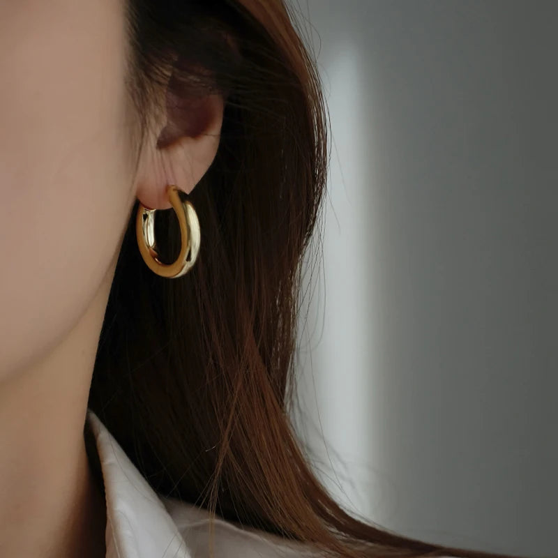 Gold Silver 925 Sterling Silver Hoops Earrings Women