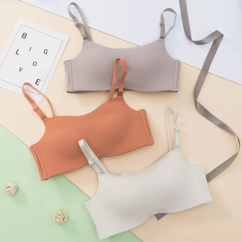 Sexy Seamless Bra Wire Free Bra Soft Intimate Women's Underwear Female Lingerie Sleep Bras