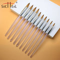Professional Kolinsky Nail Art Brush Acrylic Handle Durable Round Tube Packaging Sizes 2-24